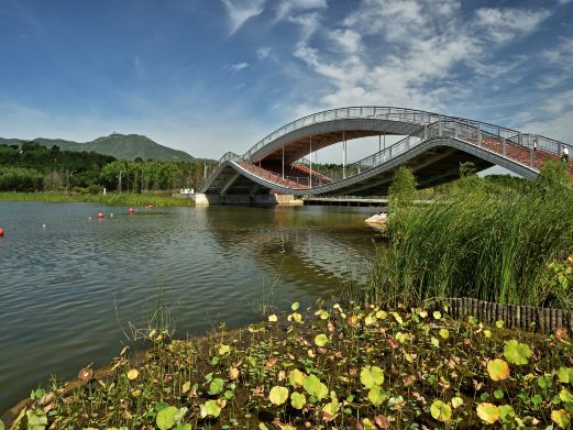 龙泉湖湿地