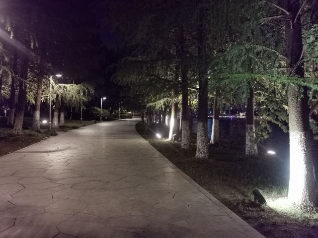 天镜湖公园旅行图片 8