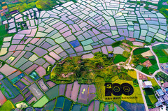 临桂区游记图片] 桂林会仙玻璃田——一个欣赏拍摄山水田园风光的好去处