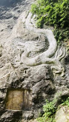 天龙桥-重庆-黄海大智若愚