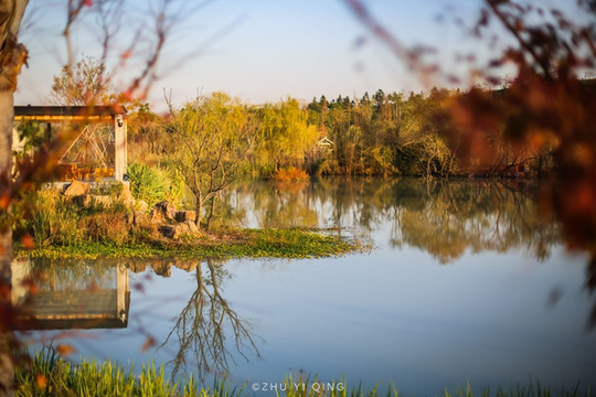 海盐秋日里的慢生活,摘橘逛园品美食