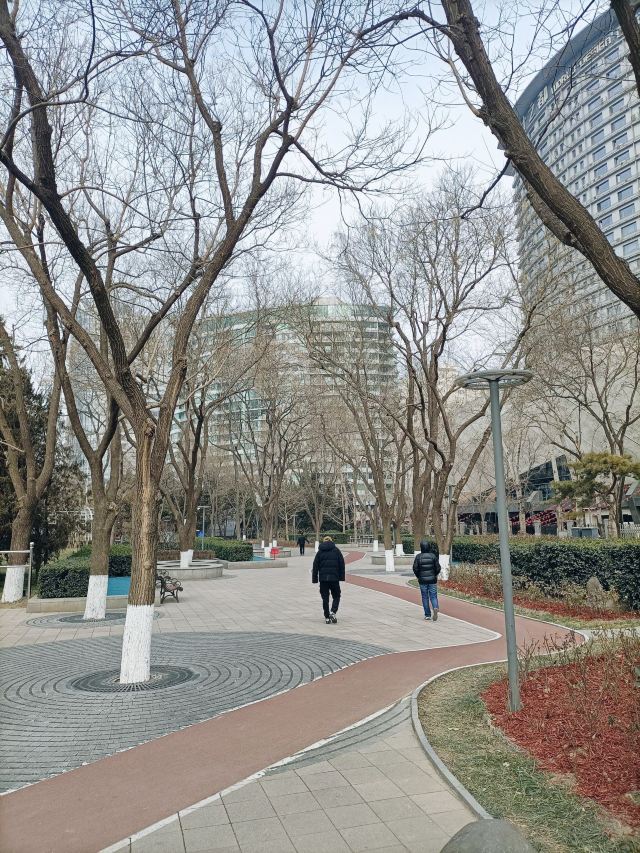 玫瑰公园旅行图片 4