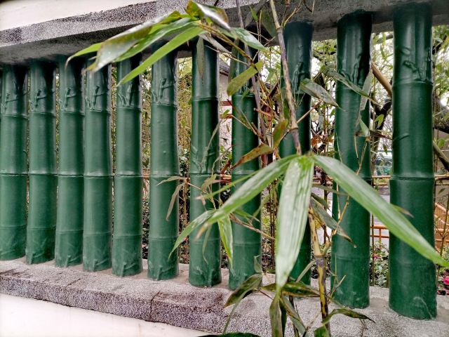 东安公园旅行图片 4