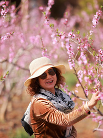 茈碧湖风景区游记图片] 大理洱源花开了！繁花似锦，令人陶醉，美不胜收！