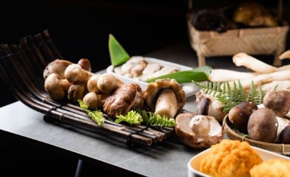 食野菌火塘·墨脱石锅野生菌火锅(大戏台店)