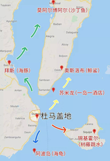 杜马盖地游记图片] 菲律宾杜马盖地多好玩？世界著名潜水胜地，潜水考证（OW+AOW）、度假、看鲸鲨！