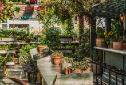 The Potting Shed美食图片