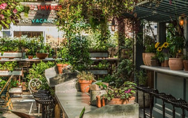 The Potting Shed