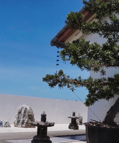 茶与海南鸡饭.私房菜(亚龙湾总店)