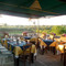 Agriturismo Serine