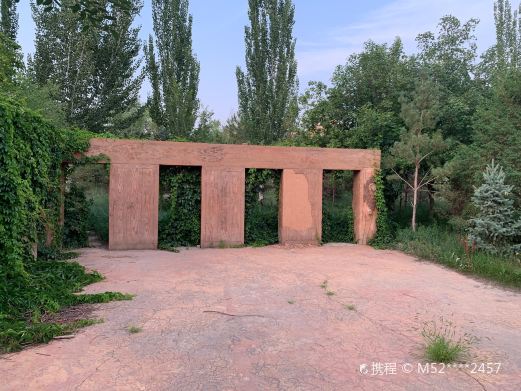 呼市回民区防风林公园