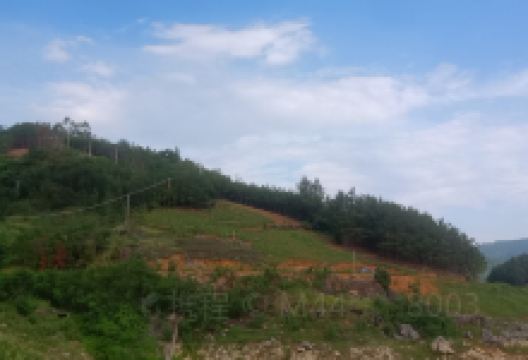 隆林天生桥旅游度假区景点图片