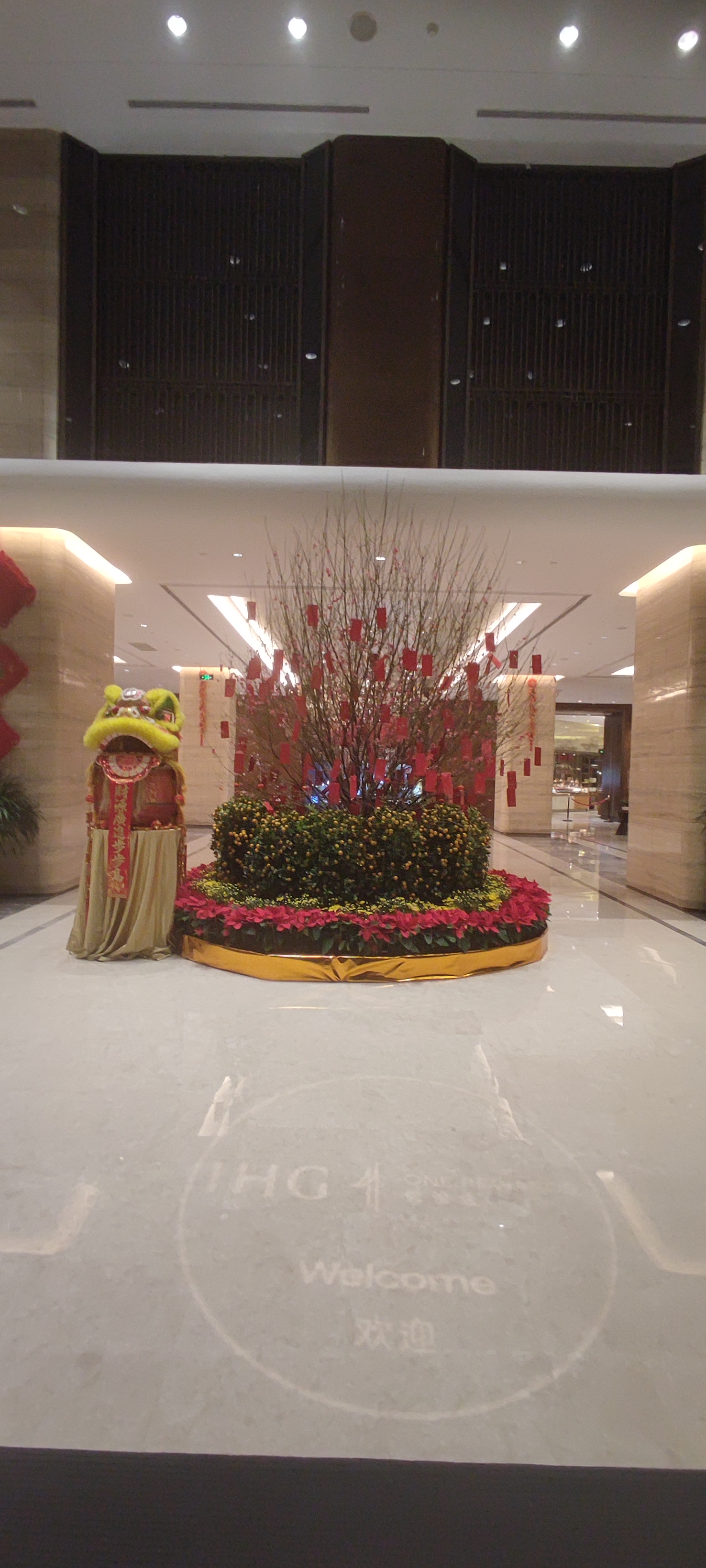 阳江中心华邑酒店-官方