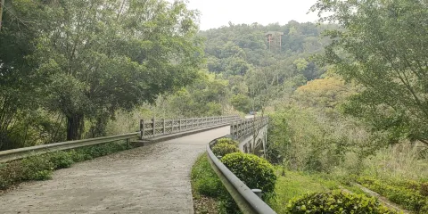 良鳳江生態蝴蝶園