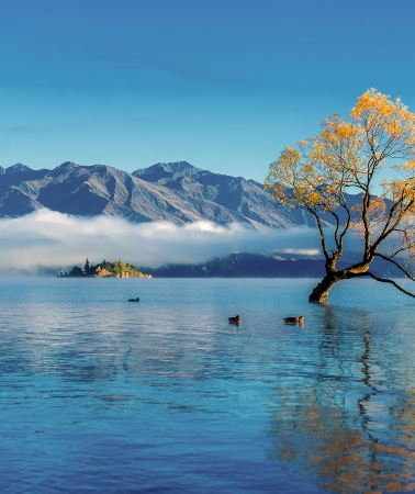 10D9N • New Zealand South Island Midline, East Coast, Small Loop Tour