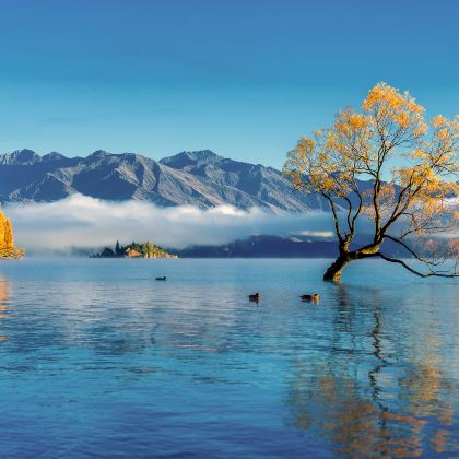 新西兰南岛10日7晚自由行