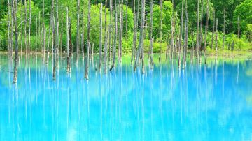 Shirogane Blue Pond (Aoiike)