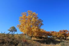 西拉沐沦大峡谷园区-克什克腾旗