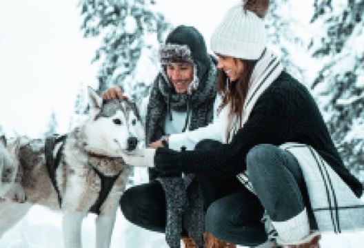 哈士奇雪橇之旅景点图片