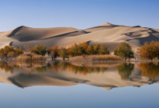 塔克拉玛干沙漠景点图片