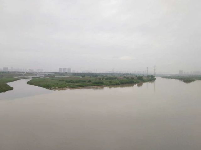 高陵泾渭湿地观光园旅行图片 2