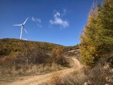 翠云山国际旅游度假区-张家口-小小绿带爆米花