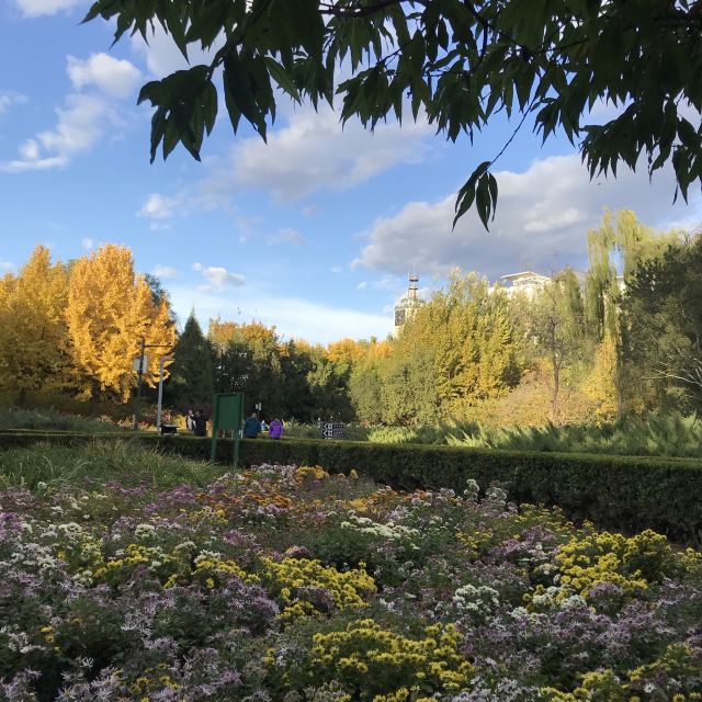 昌平公园旅行图片 1