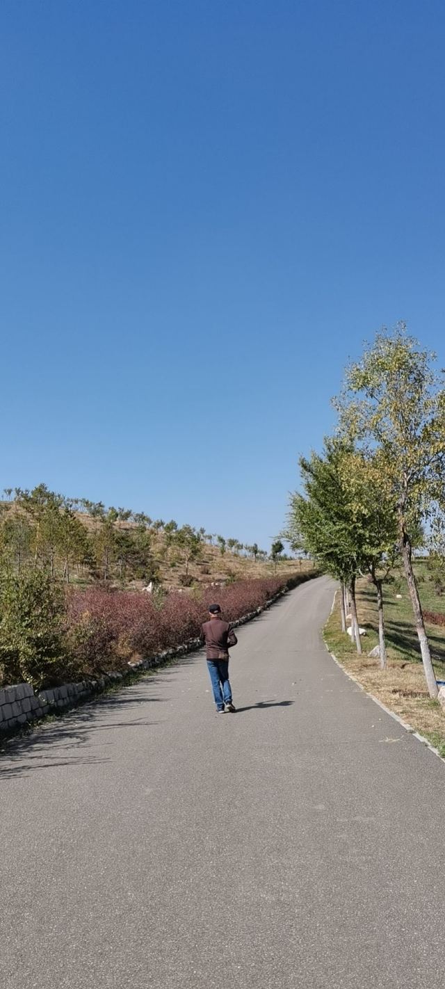 哈拉沁吉沙公园旅行图片 4