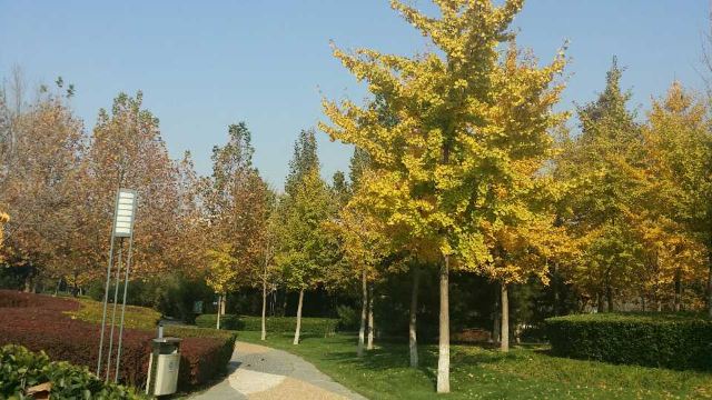 阳光星期八公园旅行图片 5