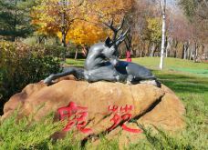 太阳岛风景区-哈尔滨-永向前