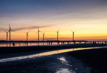 高美湿地景点图片