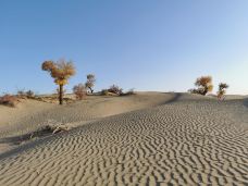 塔里木沙漠公路-且末-JJ77