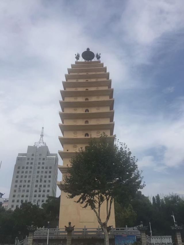 东寺塔茶花园旅行图片 3