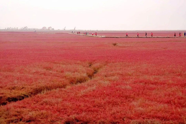 你见过红色的海滩吗？中国最北的海岸线在哪里？