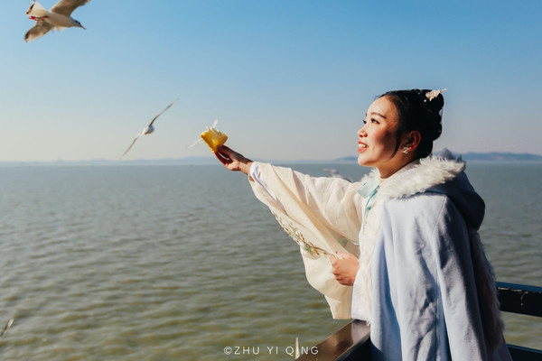 冬游无锡三国影视基地，邂逅太湖畔的小精灵红嘴鸥
