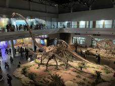 自贡恐龙博物馆-自贡-Chenhutamu