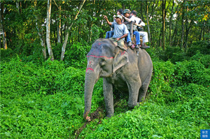 尼泊尔游记图文-西双版纳北迁的野象群，牵动着千万网友的心，回忆和大象亲密接触