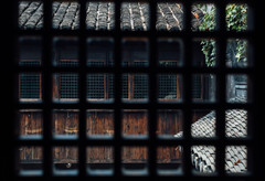 西塘古镇游记图片] 西塘 | 一个来了就不想走的地方~