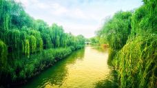 大明湖景区-济南-麦穗子