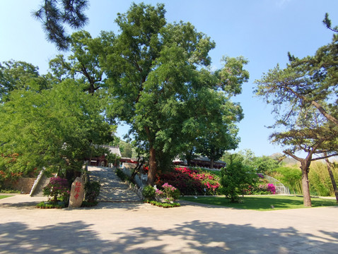 美丽邂逅!一场说走就走的旅行带来的小惊喜——夏日红螺寺