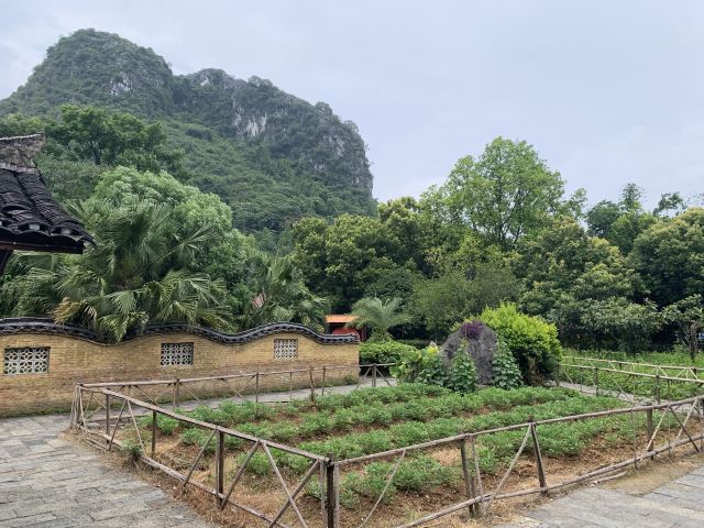 刘三姐大观园旅行图片 1