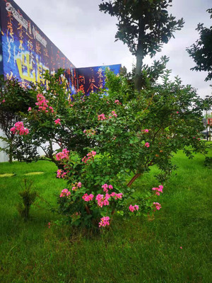陕南最美旅游景区—诸葛古镇