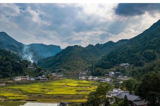 乡游黔中·习水县 福同村 │ 乡野拾趣,收获一场别有风味的田园牧歌