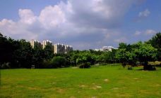 南宁市新秀公园-南宁-吃饭了没上市