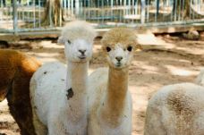 茂名森林公园-茂名-C-IMAGE