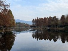 观音塘湿地公园-重庆