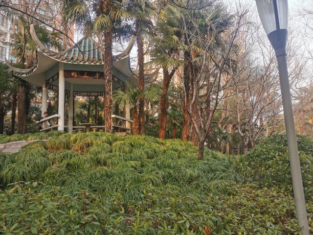 天山公园旅行图片 10