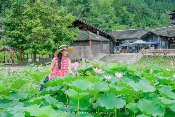 【马玛丽旅行志】如画彭家寨,是理想生活的模样