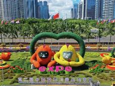 海南国际会议展览中心-海口-老鹰在飞翔