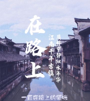 乌镇镇游记图文-水韵乌镇，三天两晚自由行度假之旅。